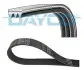 Ремень П-клиновый DAYCO 3PK863EE (фото 2)