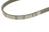 Ремень генератора BMW 5 (E60) 4.0-4.8i 03-10 (N62) DAYCO 4PK844EE (фото 5)