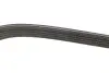 Ремень генератора Suzuki Baleno 1.8 96-02 DAYCO 5DPK1550 (фото 2)