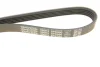 Ремень генератора Opel Astra/Vectra 1.4/1.6i 88-95 DAYCO 5PK990 (фото 5)