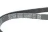 Пас приводной с длиной круга более 60см, но не более 180см DAYCO 6PK1090EE (фото 4)