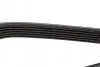 Ремінь генератора Nissan Primera/Fiat Marea 1.8-2.4JTD 96-02 DAYCO 6PK1105 (фото 4)