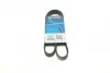 Ремень генератора Citroen Jumper 1.9TD 94-02 (ALT,PS) DAYCO 6PK1130