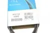 Ремінь генератора Citroen Jumper 1.9TD 94-02 (ALT,PS) DAYCO 6PK1130 (фото 2)