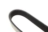 Фото 3 - ремінь генератора Renault Duster 1.5dCi 10- DAYCO 6PK1178 Ремінь генератора Renault Duster 1.5dCi 10- DAYCO 6PK1178 (фото 3)