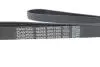 Ремень поликлиновый DAYCO 6PK1225 (фото 4)