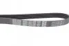 Пас приводной с длиной круга более 60см, но не более 180см DAYCO 6PK1260 (фото 2)