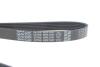 Пас приводной с длиной круга более 60см, но не более 180см DAYCO 6PK1341 (фото 4)