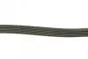 Ремень генератора Citroen Berlingo/Jumpy/Peugeot Expert/Partner 1.6HDI DAYCO 6PK1355 (фото 2)