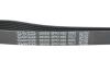 Ремень поликлиновый DAYCO 6PK1485 (фото 4)