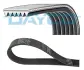 Ремінь П-клиновий 6PK1515 посилений DAYCO 6PK1515HD (фото 1)