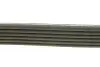 Ремінь генератора Citroen Berlingo 1.6 00-08/ Nemo 1.4i 08- DAYCO 6PK1558 (фото 2)