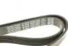 Ремінь генератора Citroen Berlingo 1.6 00-08/ Nemo 1.4i 08- DAYCO 6PK1558 (фото 4)