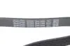 Пас приводной с длиной круга более 60см, но не более 180см DAYCO 6PK1606 (фото 4)