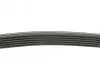 Ремінь генератора VW LT 2.5TDI 96-01/Peugeot Expert 1.9D/2.0HDI 98- DAYCO 6PK1755 (фото 2)
