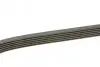Ремень генератора Toyota Corolla 00-02 DAYCO 6PK1820 (фото 2)