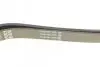 Ремень генератора Toyota Corolla 00-02 DAYCO 6PK1820 (фото 4)
