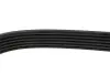 Ремень генератора MB G-class (W461) M102 89-00 DAYCO 6PK1855 (фото 4)