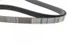 Ремень генератора MB Vito OM601/602 (AC)/ M111 (PS) DAYCO 6PK2013 (фото 3)