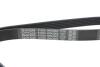 Ремень поликлиновый DAYCO 6PK2063 (фото 4)