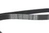 Ремень поликлиновый DAYCO 6PK2063 (фото 4)