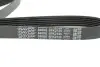 Ремінь генератора MB C-class (W203) 00-02 DAYCO 6PK2135 (фото 2)