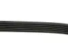 Ремінь генератора MB C-class (W203) 00-02 DAYCO 6PK2135 (фото 3)