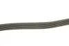 Ремень генератора MB Sprinter CDI (-AC) (с обводным роликом)) DAYCO 6PK2255 (фото 3)
