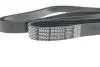 Пас приводной с длиной круга свыше 240см. DAYCO 6PK2515 (фото 4)
