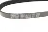 Ремінь генератора Citroen Berlingo/Fiat Ducato 1.9 D/TD 96-03 DAYCO 6PK730 (фото 3)
