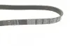 Ремень поликлиновый DAYCO 6PK799EE (фото 2)