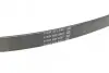 Ремень генератора Citroen Jumper/Peugeot Boxer 2.5D/TDI 94-02 AC /2.5D -95 DAYCO 6PK915 (фото 3)