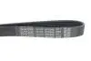 Поликлиновый ремень DAYCO 6PK966 (фото 4)