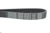 Ремень поликлиновый DAYCO 6PK972 (фото 4)