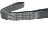 Ремень поликлиновый DAYCO 7PK1045 (фото 4)