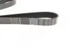Ремень генератора Renault Master/Opel Movano 2.5 dCi 03- (-AC) DAYCO 7PK1153 (фото 2)