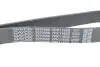 Ремень поликлиновый (Выр-во) DAYCO 7PK1165S (фото 4)