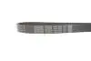 Ремень поликлиновый DAYCO 7PK1334S (фото 3)