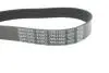 Ремень поликлиновый DAYCO 7PK1550 (фото 4)