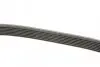 Ремень генератора BMW 7 (E65) 4.0/4.5D 02-08/Honda Accord/Civic 2.0 01-08 DAYCO 7PK1759 (фото 3)