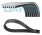 Ремень поликлиновый DAYCO 7PK2081 (фото 1)
