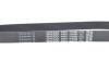 Дорожный пас DAYCO 7PK880 (фото 4)