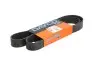Ремень поликлиновый 8PK1255HD