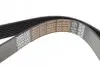 Ремень поликлиновый DAYCO 8PK1365HD (фото 2)