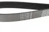 Ремень поликлиновый DAYCO 8PK1365HD (фото 3)
