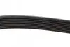 Ремень поликлиновый DAYCO 8PK1365HD (фото 4)