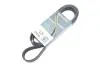 Ремень поликлиновый DAYCO 8PK1795HD (фото 2)
