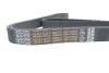 Ремень поликлиновый DAYCO 8PK1795HD (фото 4)