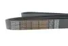 Ремень поликлиновый DAYCO 8PK2085HD (фото 4)