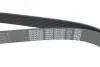 Ремень поликлиновый DAYCO 8PK2285 (фото 4)